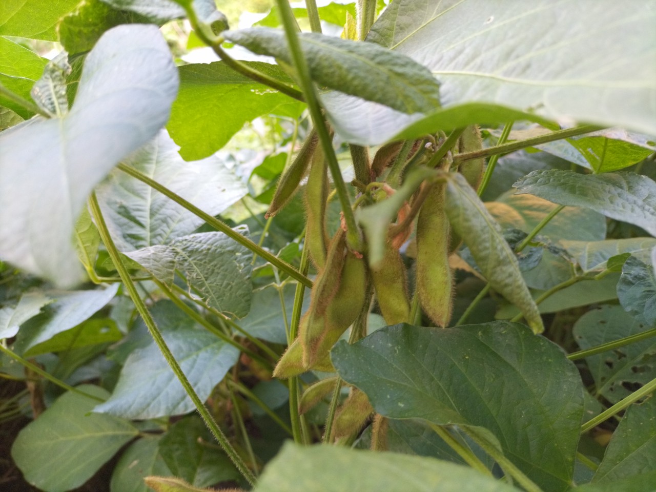 連休明け火曜日