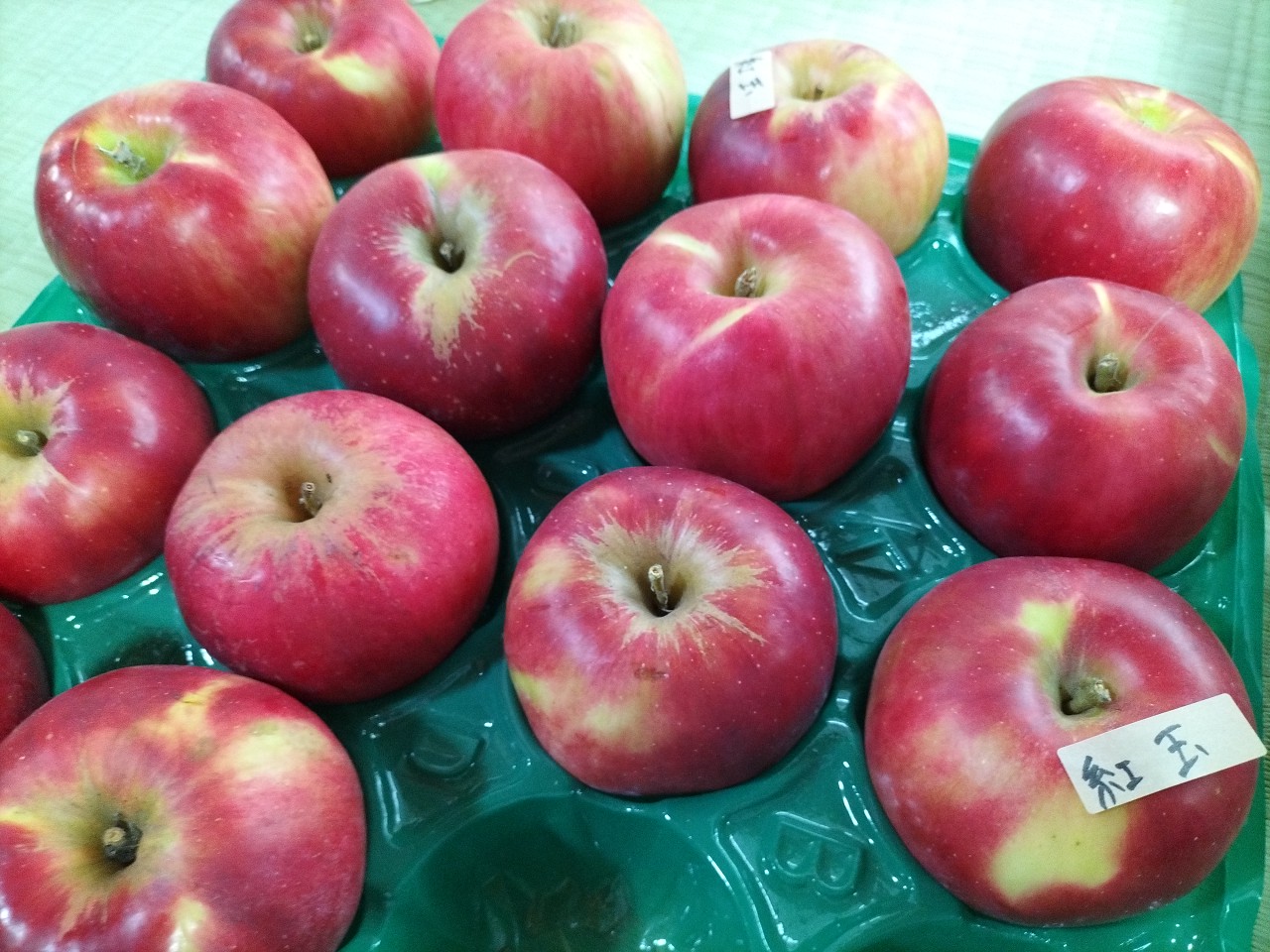 寒いのか暖かいのか