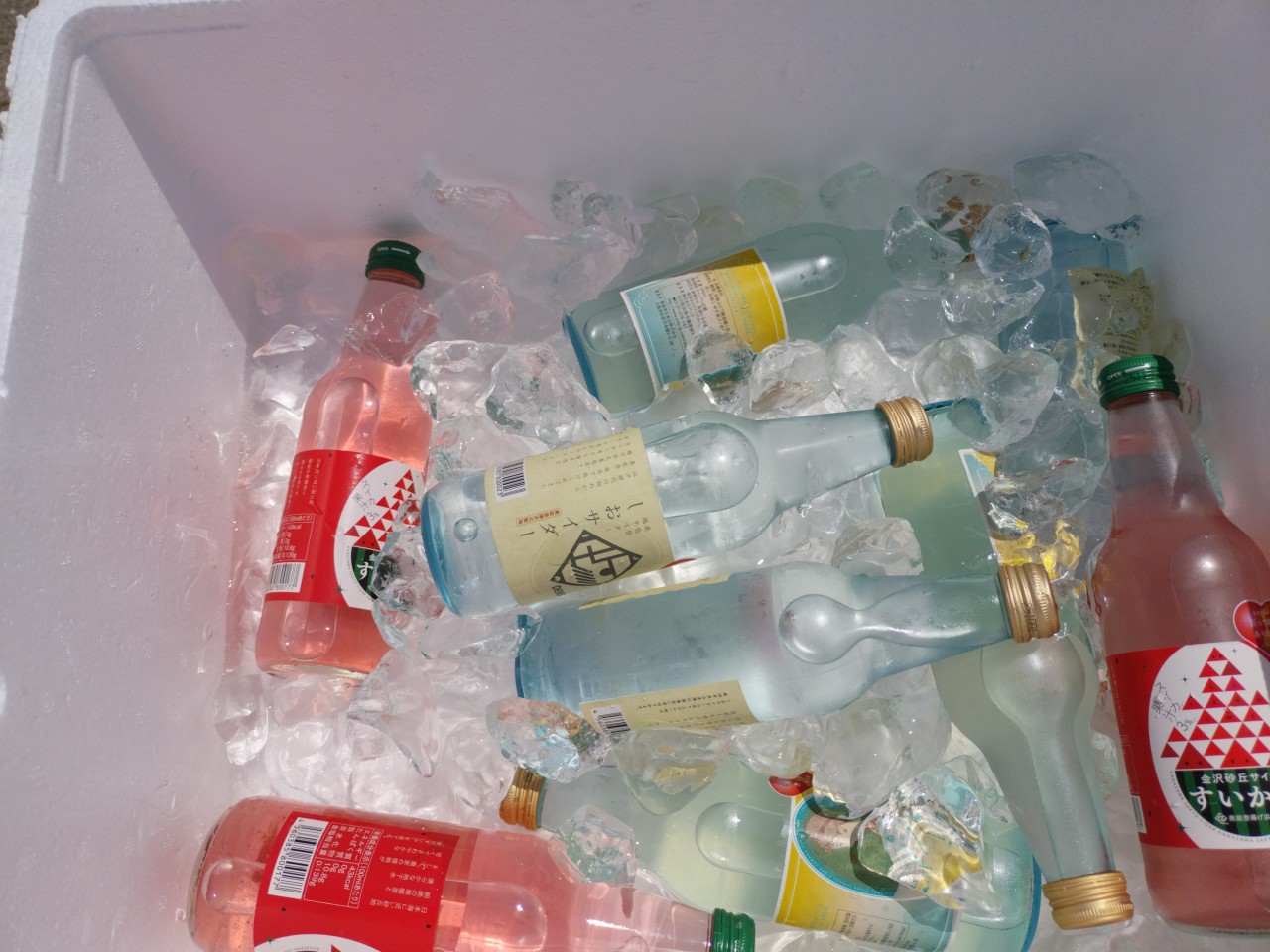 台風から逃げてきました