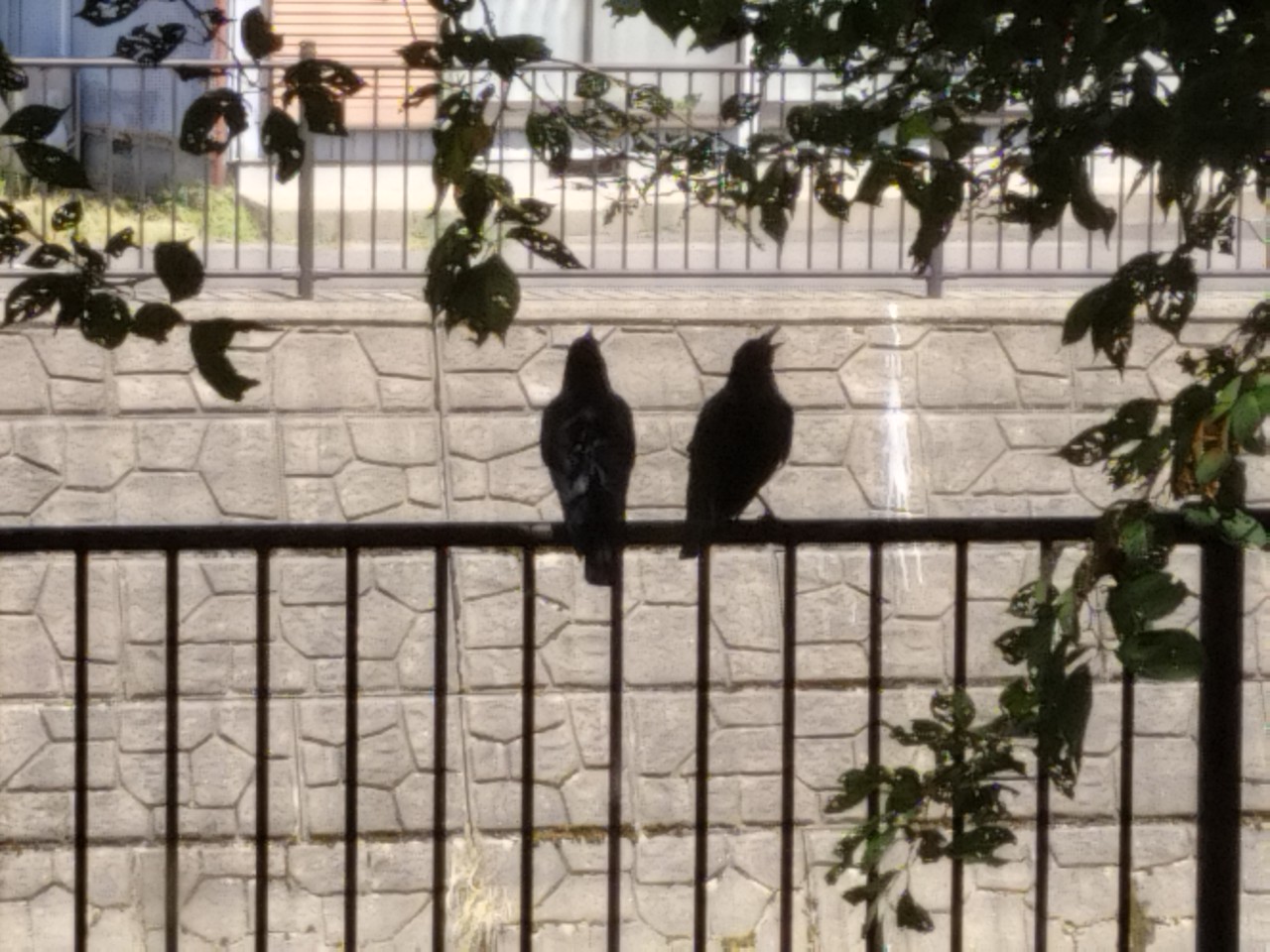 出前・こむふく・家族会