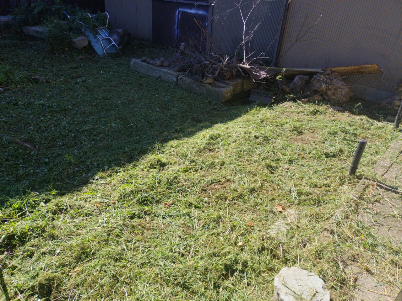 暑い日が続きます