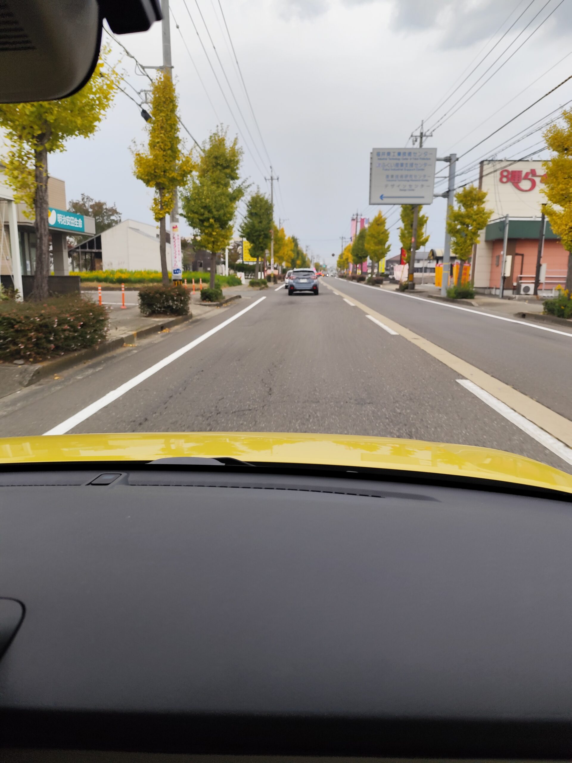 小さい秋見つけた