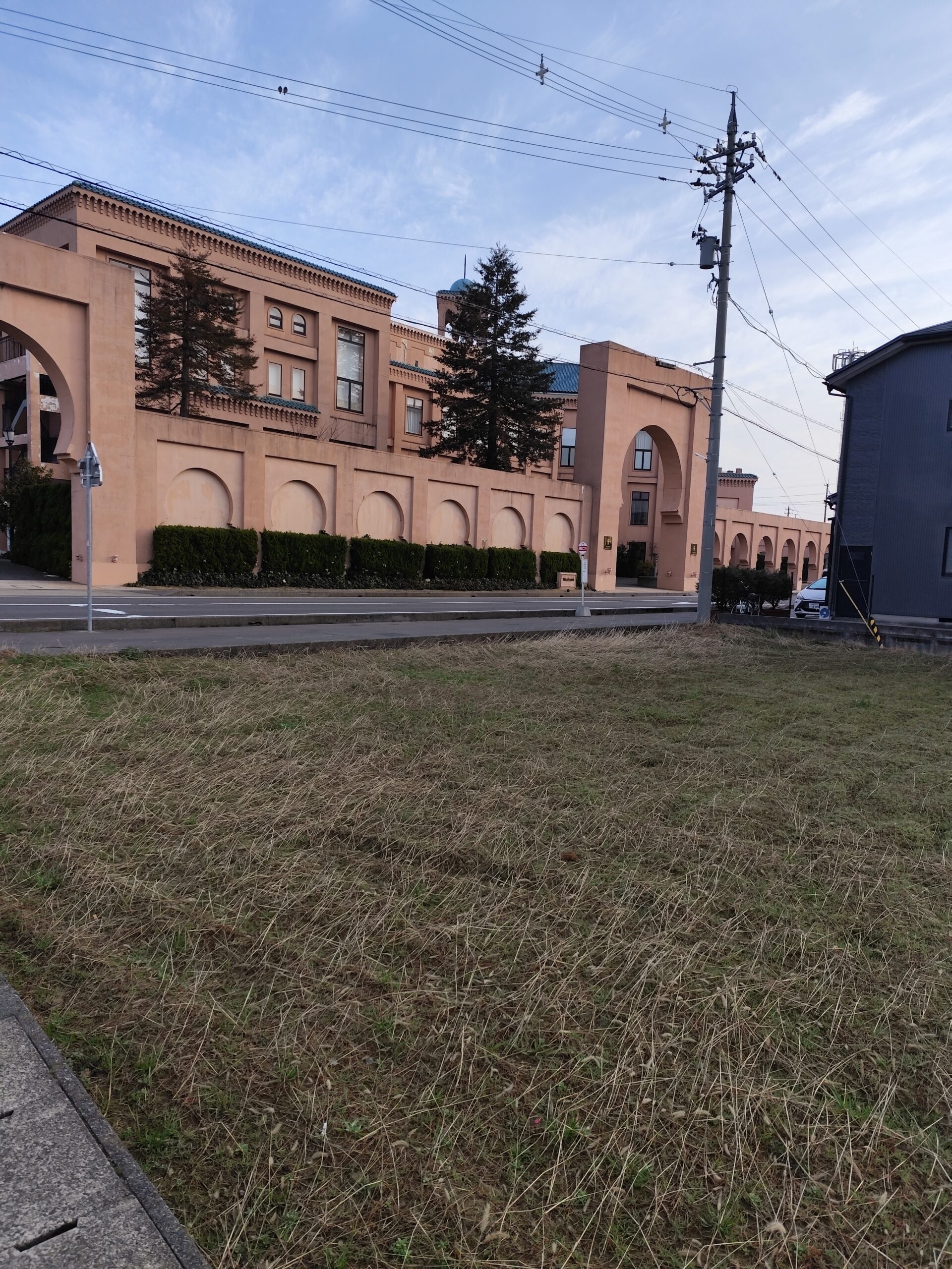 ヴィア　グランディスというらしい