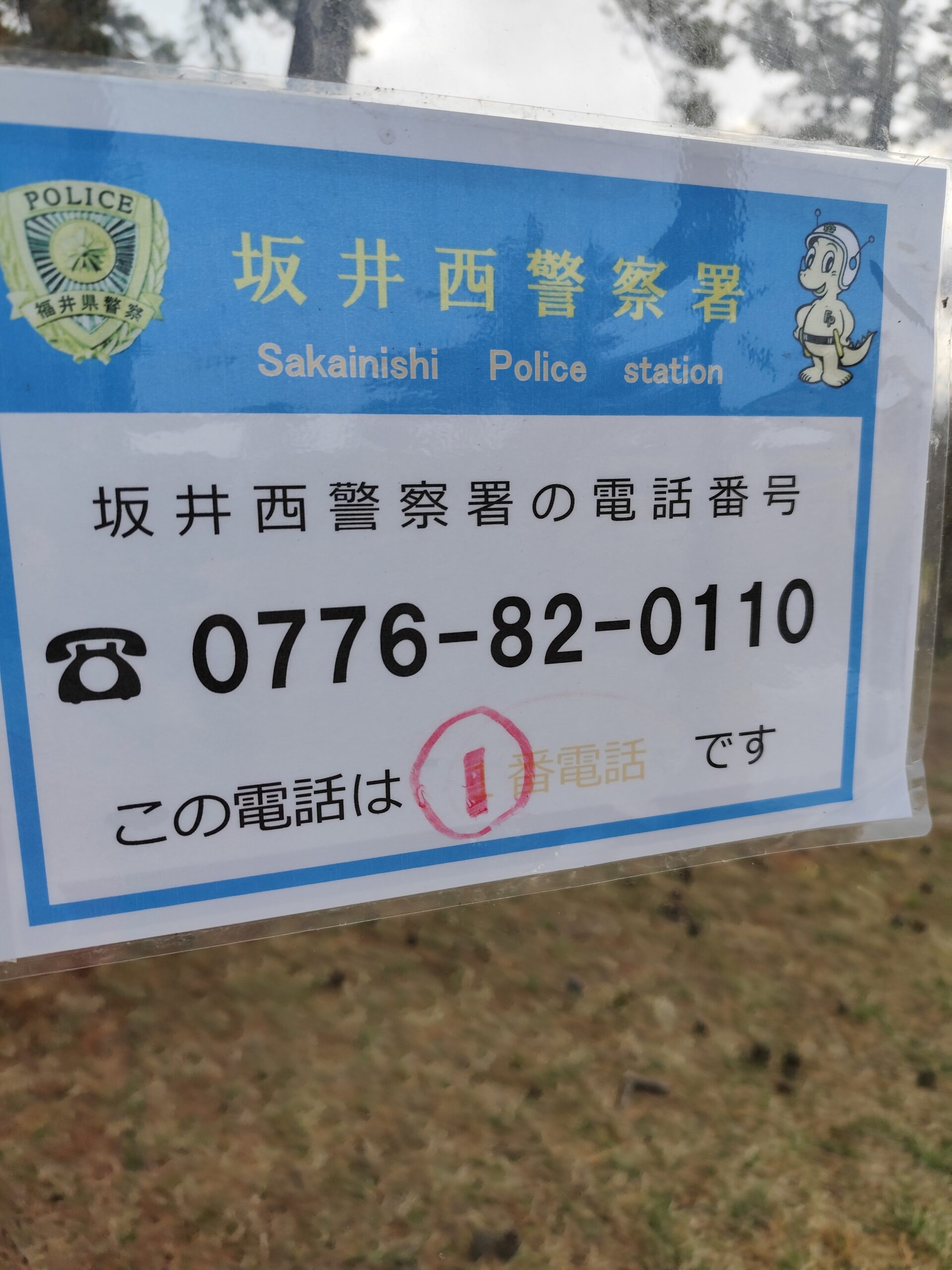 東尋坊に行ったら