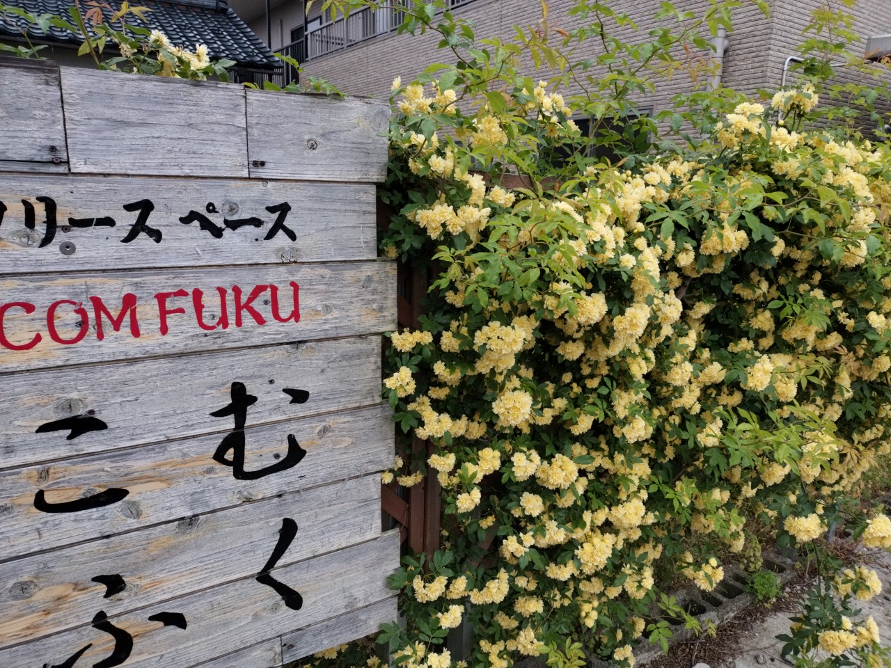 GW何してました？