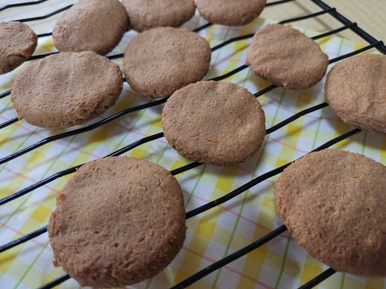 一気に夏になりました