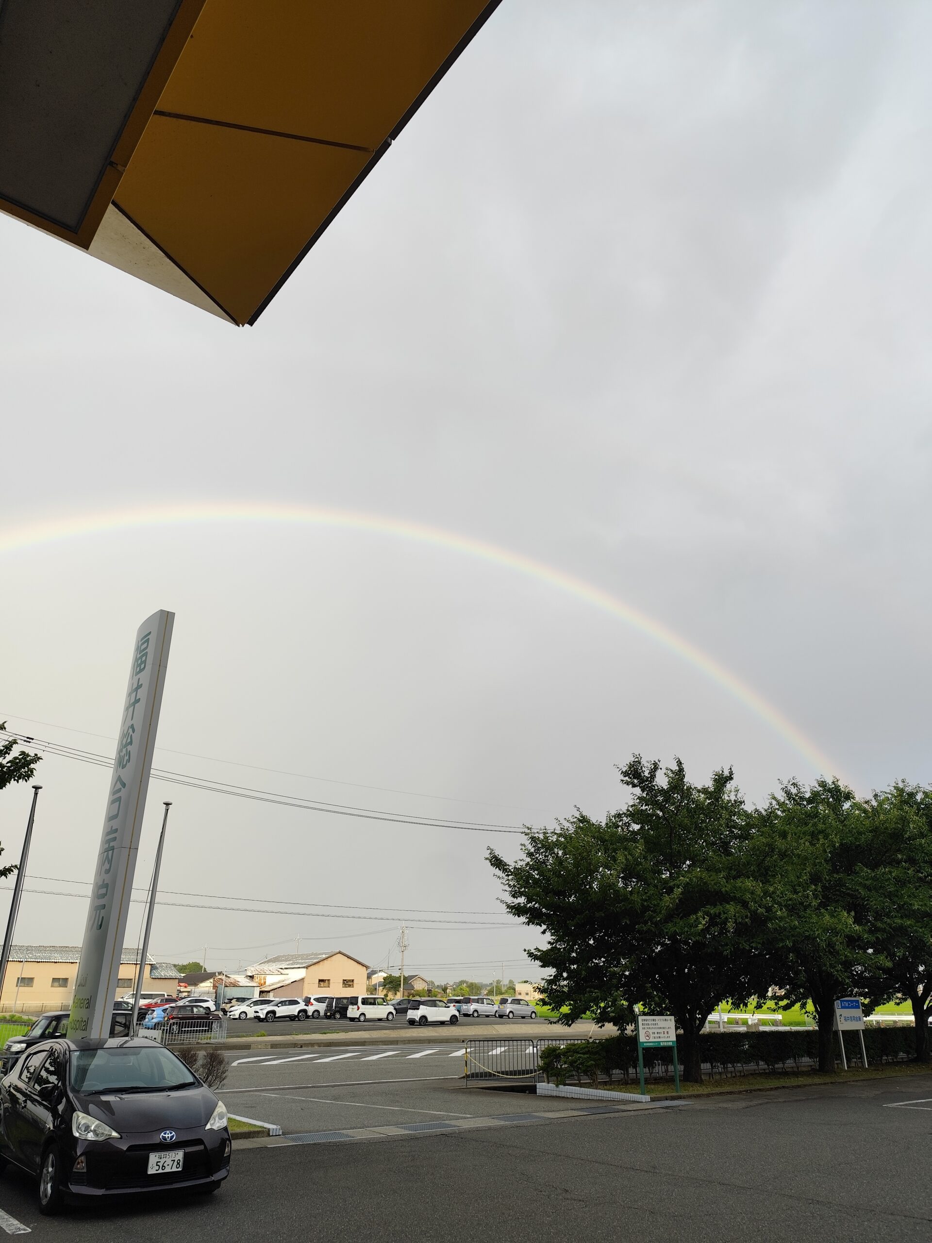 久々に虹の架け橋