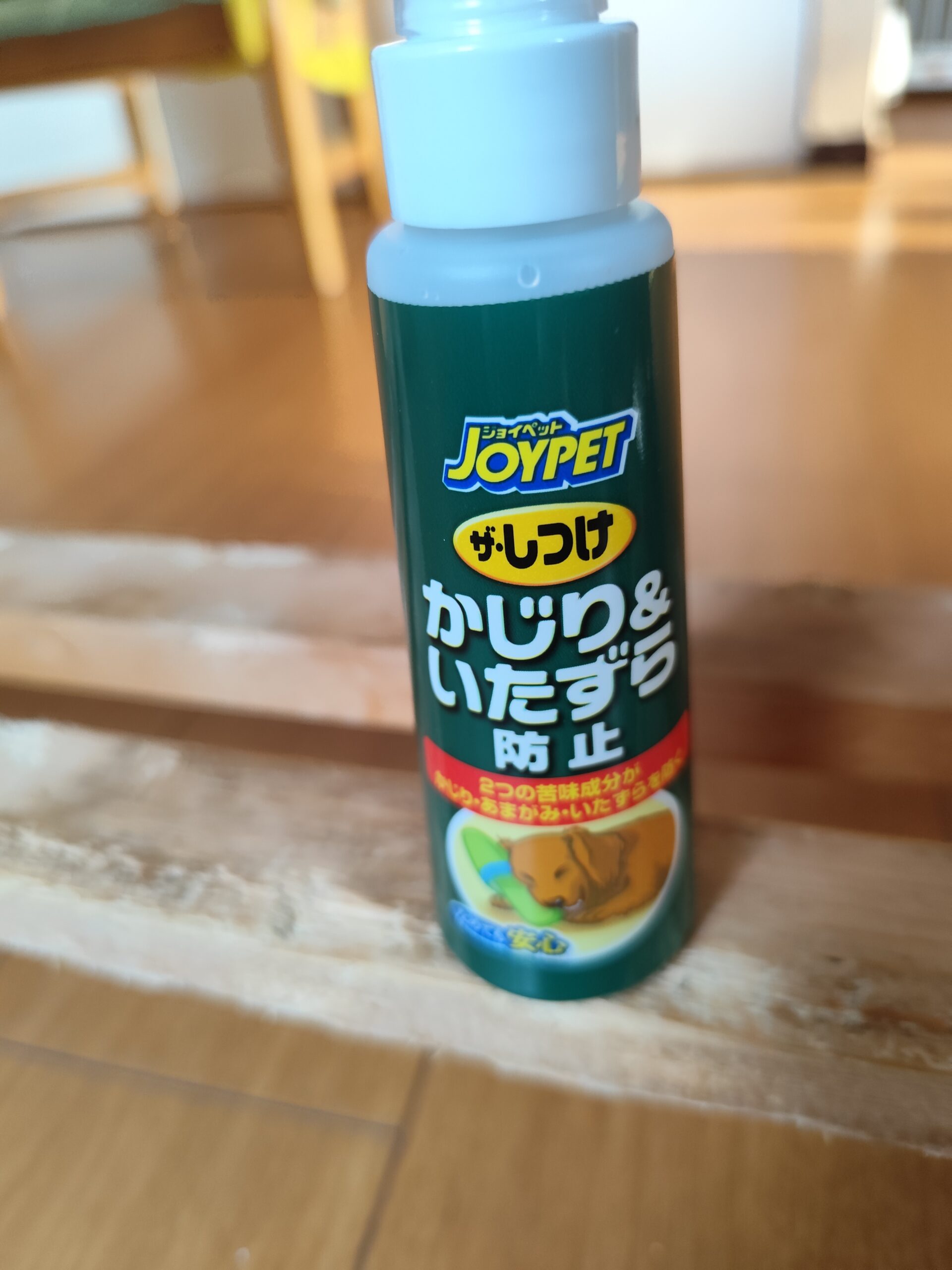 何でも噛じる犬