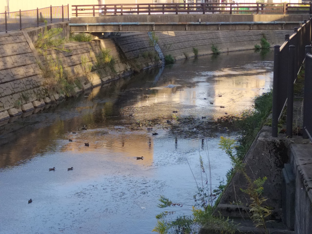 坦々とした日々