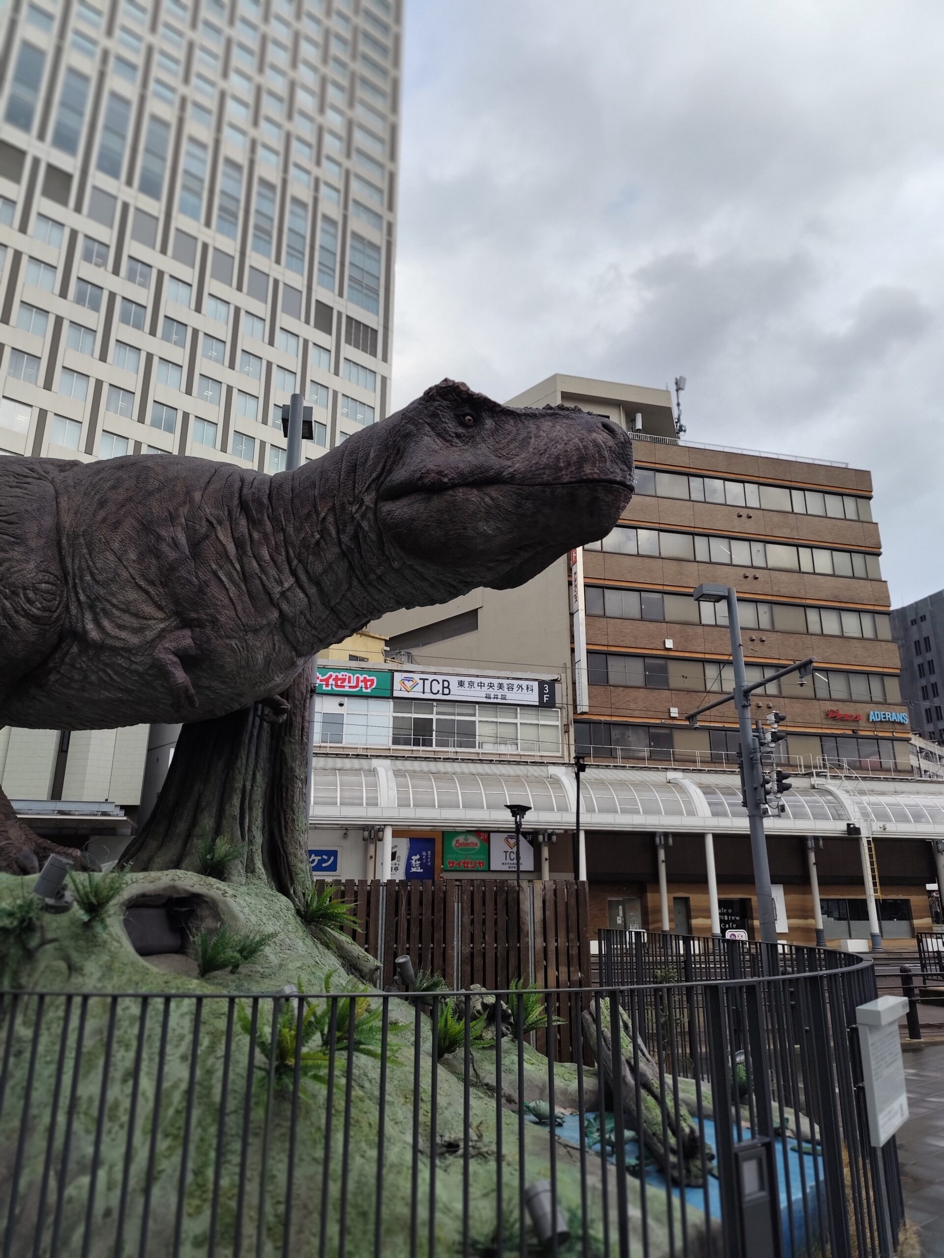 福井に戻りました