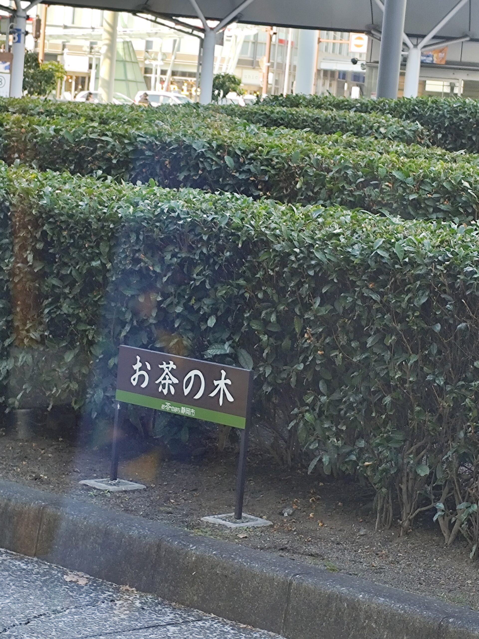 静岡駅前には何があるの？