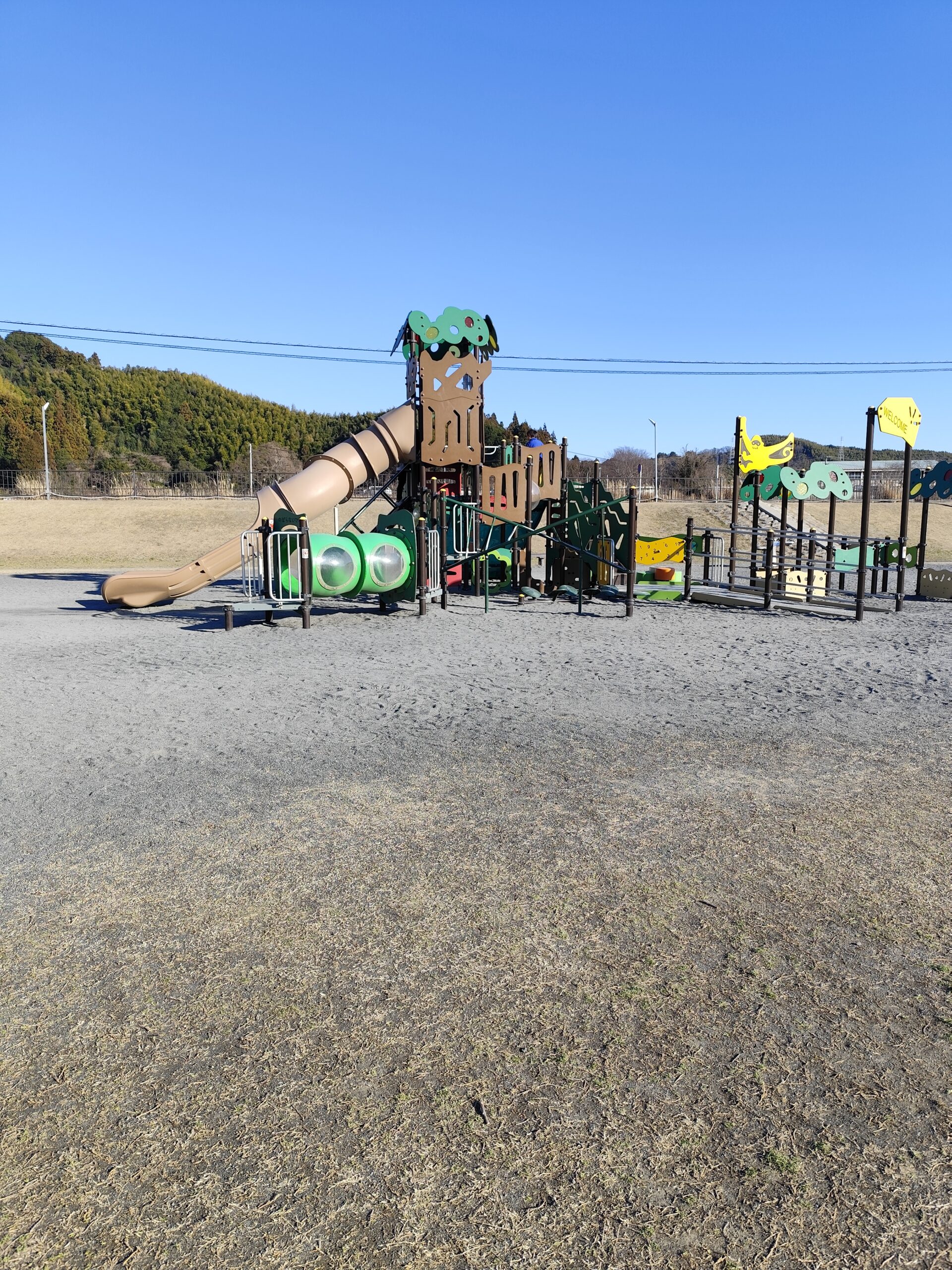 タイミー初体験