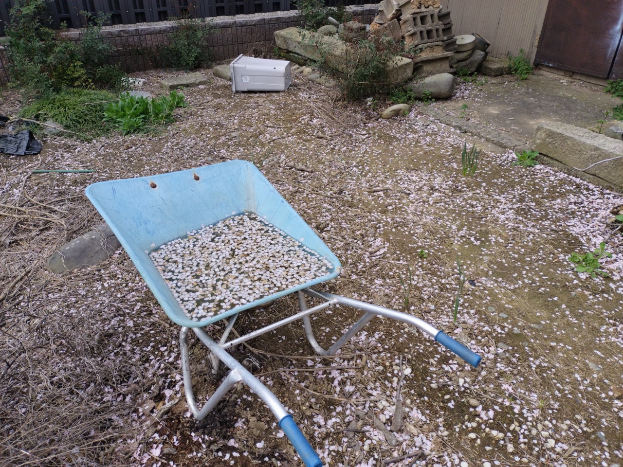 4月はどうですか？