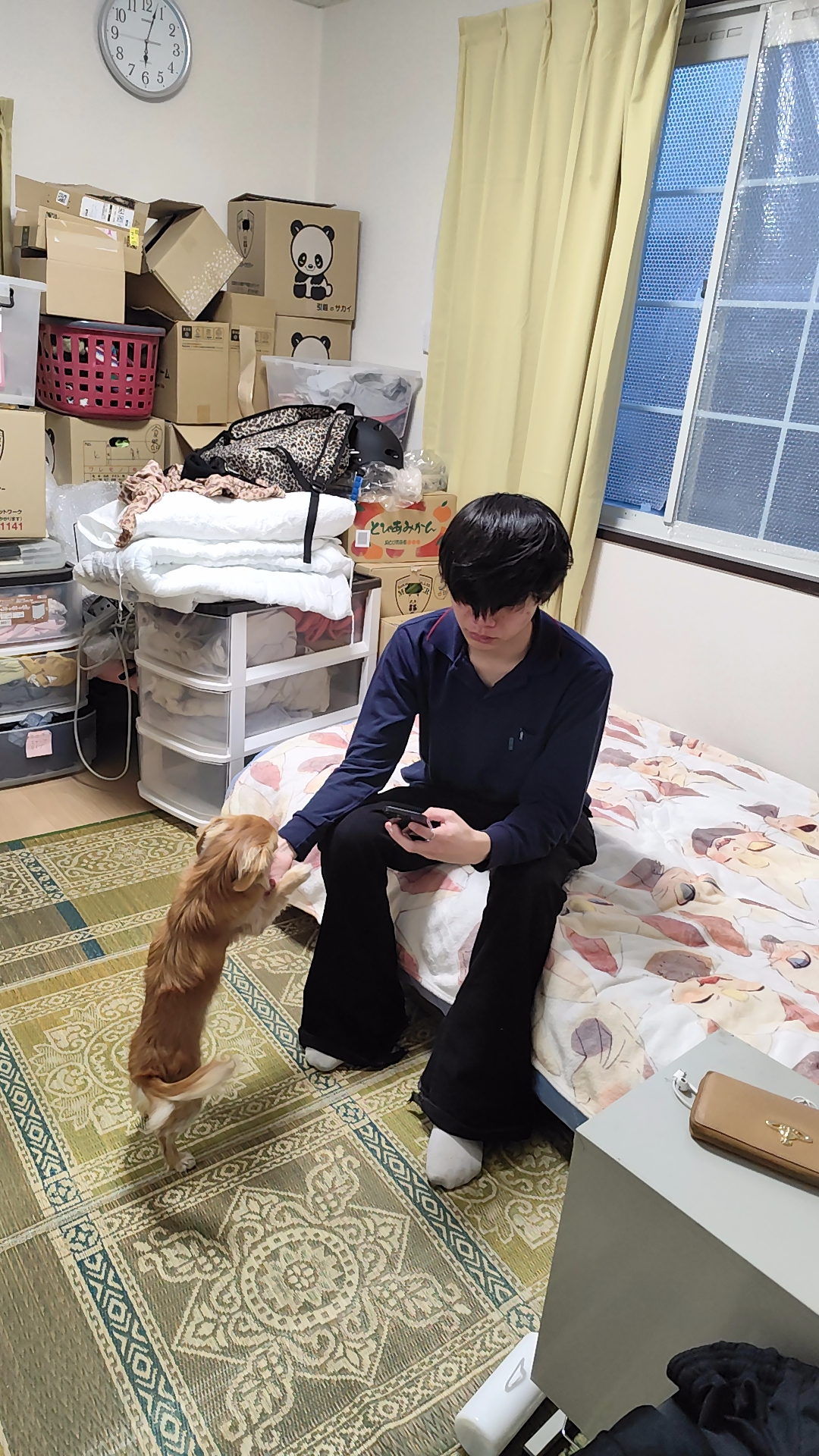 変ったファッションの孫です