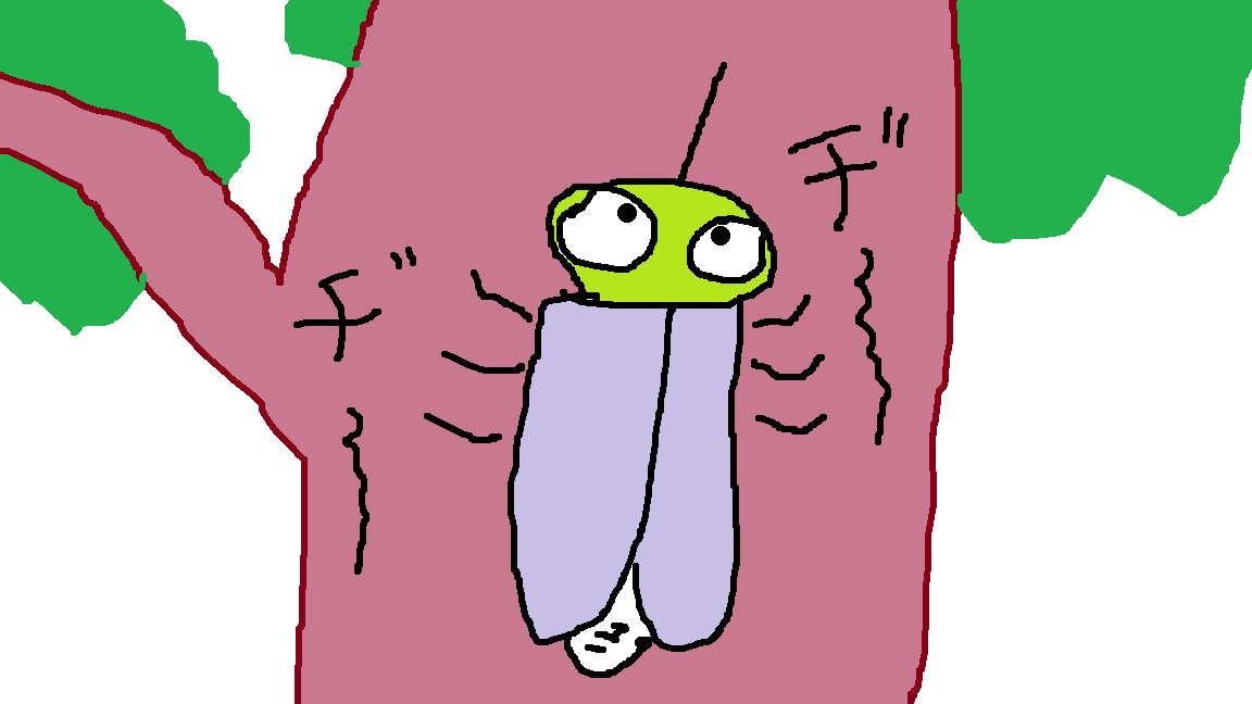記憶力